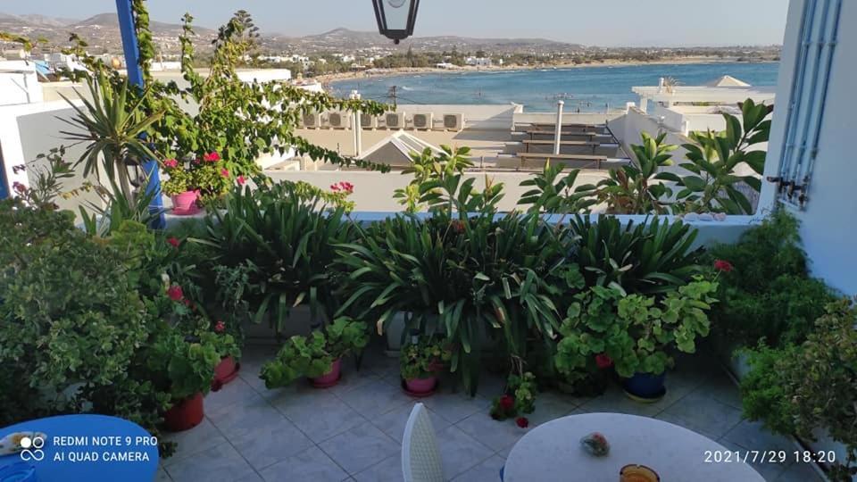 Hotel Elizabeth Naxos City Exteriör bild